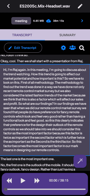 EchoBridge Transcript View